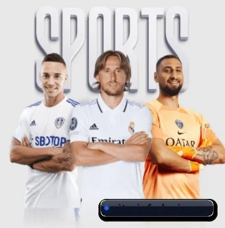 五大服务分区,信息按项目分类 - 多运动项目内容板块（bwin）